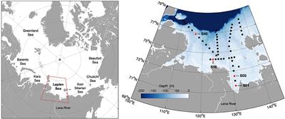 Assessing the Influence of Water Constituents on the Radiative Heating of Laptev Sea Shelf Waters